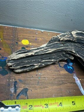 Natural Driftwood Aquarium & Terrarium Decor - Brown found on the James River